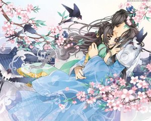 夜来香影视
